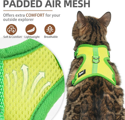 PUPTECK Cat Harness and Leash Set Escape Proof, Reflective Adjustable Soft Mesh Kitten Vest Harness for Walking Travel, Green, S