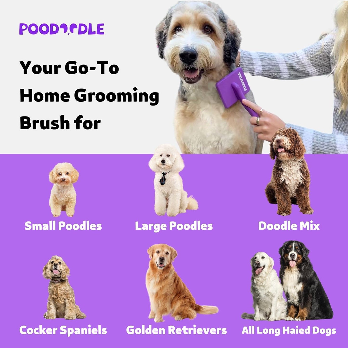 Small Slicker Brush, Purple, Hair Brush for Curly Wavy Haired Dogs - Poodles, Doodles, Bichon, Bernese Mountain Dog, Cocka Spaniels - Detangling, Grooming, Deshedding - 1 inch