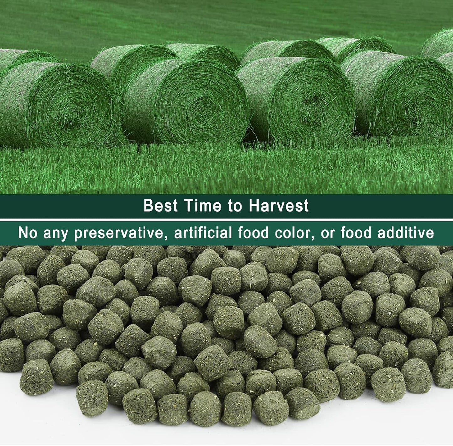 Timothy Hay Cubes 6oz -100% Natural Timothy Hay Made for Rabbits Sulcata Tortoise Guinea Pig, 6 oz