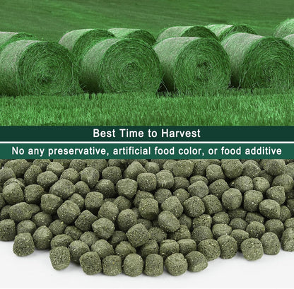 Timothy Hay Cubes 6oz -100% Natural Timothy Hay Made for Rabbits Sulcata Tortoise Guinea Pig, 6 oz