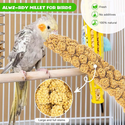 Millet for Birds 2.4LB, Natural Sun-Dried Millet Spray for Birds Seed No Stems Only Edible Tops for Parakeet, Budgies, Finches, Cockatiels, Parrots, Lovebird, Hamster and Other Pet Birds Bird Treat