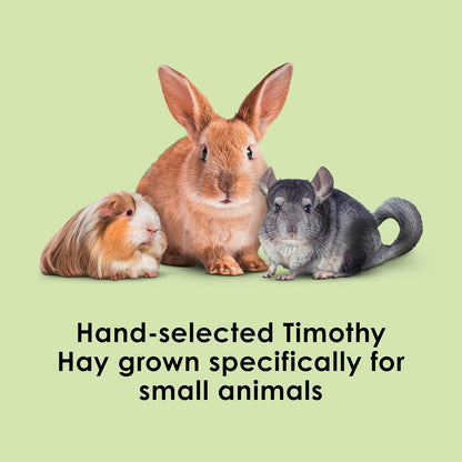 Kaytee All Natural Timothy Hay for Guinea Pigs, Rabbits & Other Small Animals, 6 Pound
