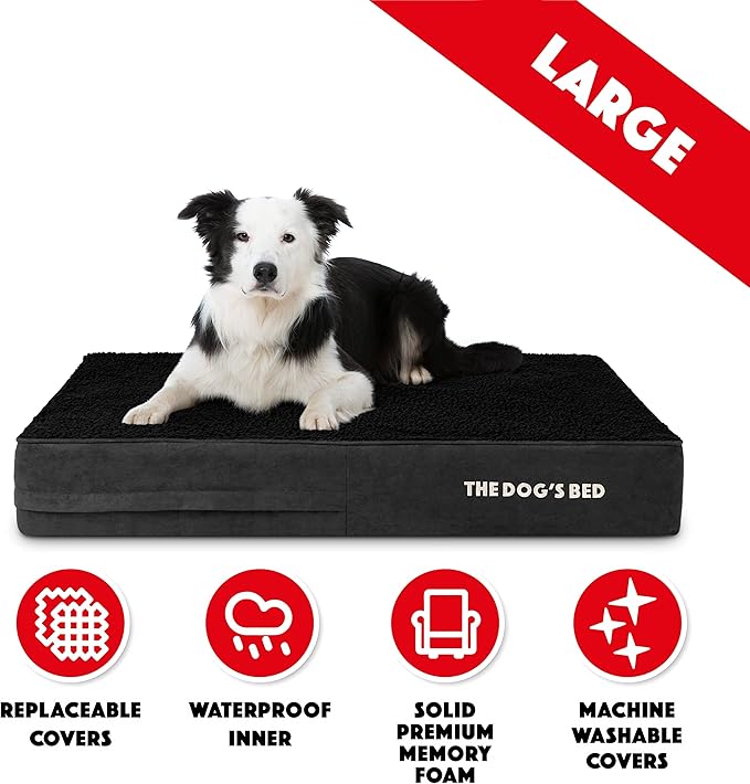 The Dog’s Bed Orthopedic Memory Foam Dog Bed, Large Black Plush 40x25, Pain Relief for Arthritis, Hip & Elbow Dysplasia, Post Surgery, Lameness, Supportive, Calming, Waterproof Washable Cover