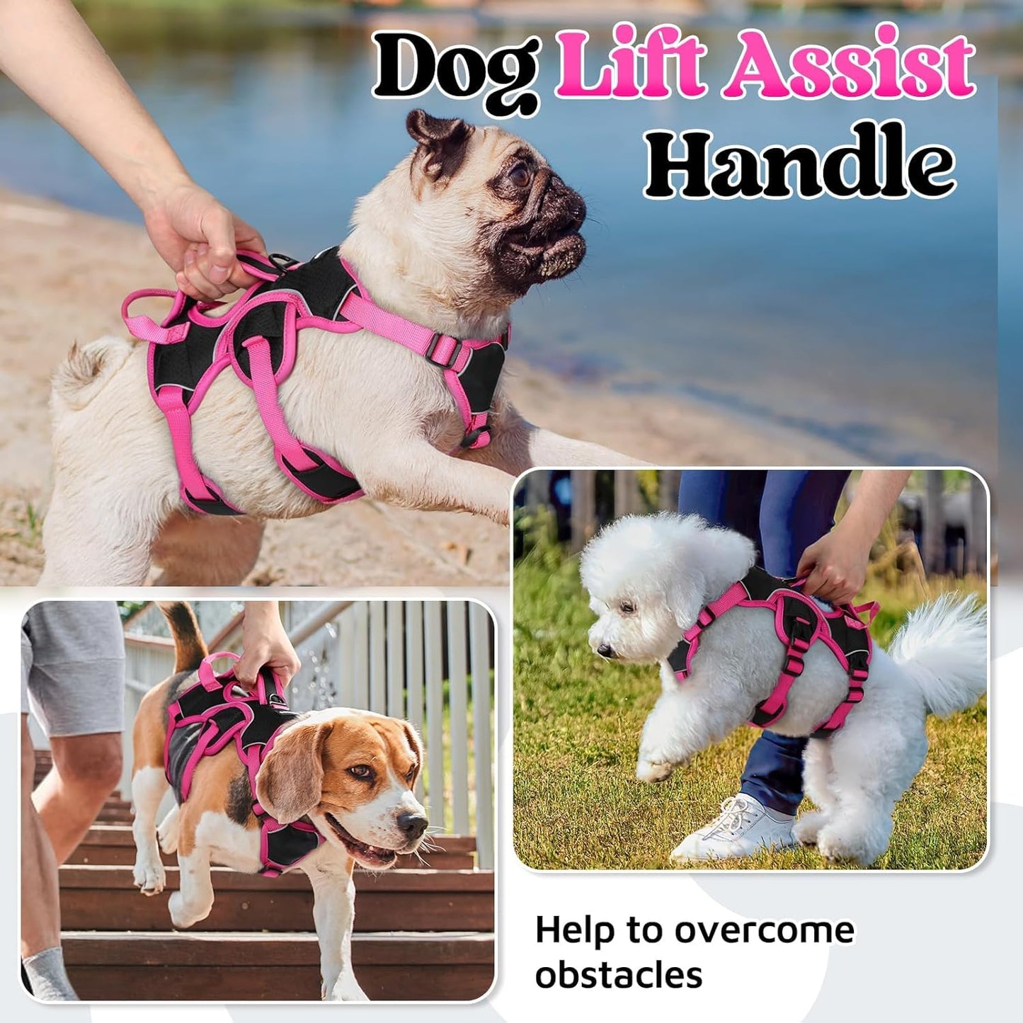 rabbitgoo Escape Proof Dog Harness Small Sized Dog, Soft Padded Full Body Pet Harness, Reflective Adjustable Vest with Lift Handle and Leash Clip for Walking Hiking Training, Pink & Black, S