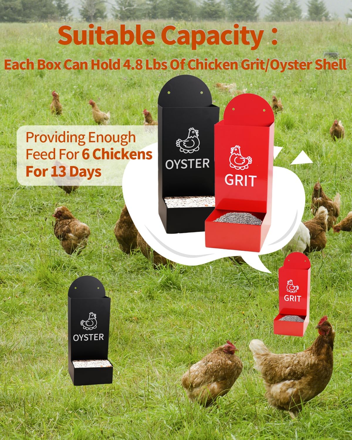 Chicken Oyster Shell Feeder and Grit Feeder Metal Chicken Feeder Chicken coop Accessories Automatic Chicken Feeder