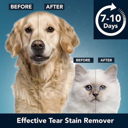 NOVEHA 60PCs - Dog Eye Wipes, Individually Packed Gentle Tear Stain Remover with Hyaluronic Acid, Refreshing Dog Eye Cleaner for Dirt & Discharge Removal