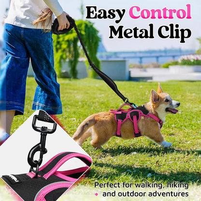 rabbitgoo Escape Proof Dog Harness Small Sized Dog, Soft Padded Full Body Pet Harness, Reflective Adjustable Vest with Lift Handle and Leash Clip for Walking Hiking Training, Pink & Black, S