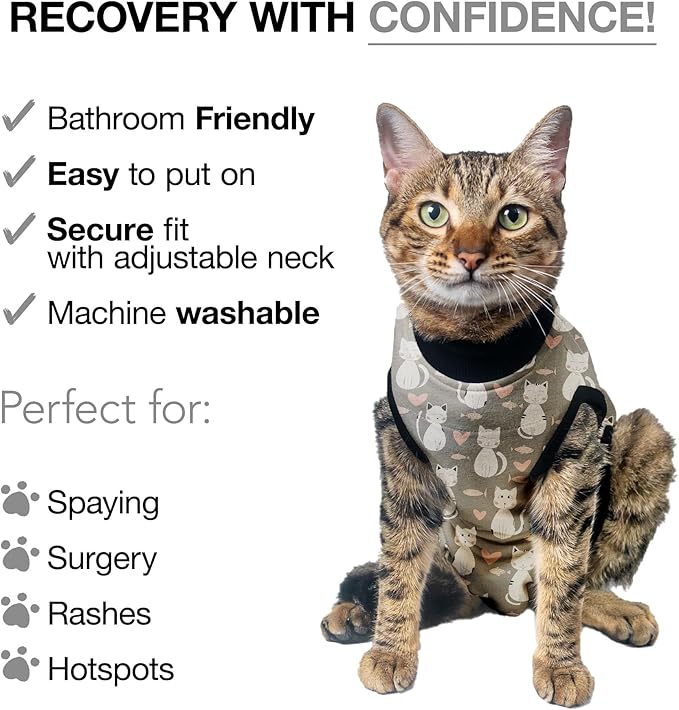 Bellyguard Cat Recovery Suit Female and Male, Comfy Onesie After Surgery, Kitten Clothes for Post-Op Care, Neuter and Spay Healing Outfits for Cats Only – Comfortable Kitten and Adult Cone Alternative