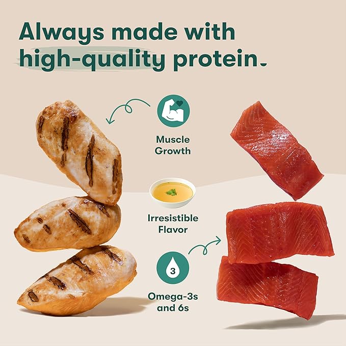 Jinx Bone Broth Stew for Dogs, Variety Pack - Chicken & Salmon Recipes - Grain-Free Wet Dog Food & Topper for Picky Eaters - Promotes Lean Muscle Growth, Healthy Coat & Digestion - 13 Oz, 12 Pack