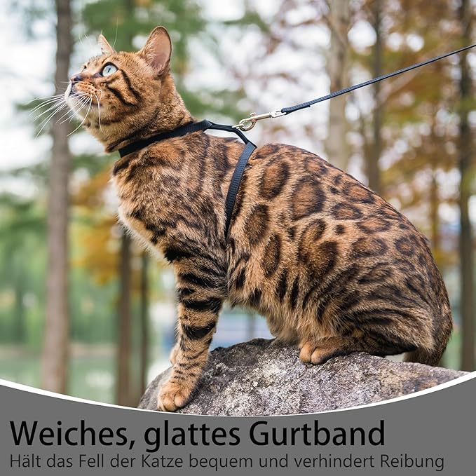 PUPTECK Adjustable Cat Harness and Leash Set Escape Proof Kitten Strap Collar for Walking Travel, Black