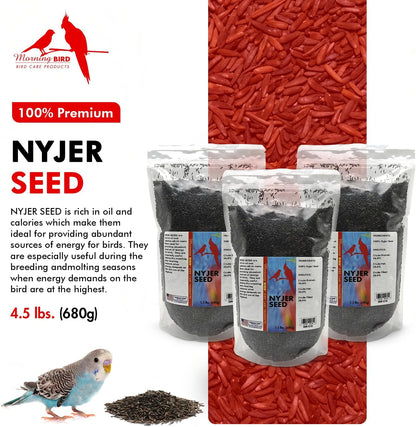 Morning Bird Nyjer Seed for Birds 4.5 lbs (3-Pack, 1.5 lbs Each)– Energizing Nutrition with Rich in Vitamins and Supplements – Ideal Bird Food for Breeding & Molting – Finch Seed for All Birds
