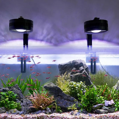 AQQA Aquarium Clip-On Stream Light with Controller, LED Fish Tank Light with 3 Modes (White/RGB/Full Spectrum), Timer & 6 Brightness Levels, Adjustable Clamp for Freshwater Plants Fish Tanks 35W