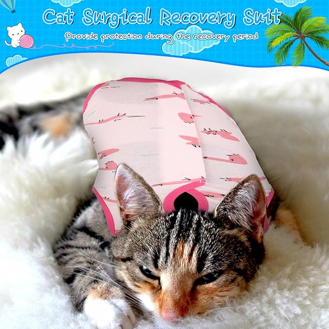 Kacctyen 6 Set Cat Recovery Suit After Surgery Female and Male Cat Kitten Surgery Suit E Collar Alternative Pajama Kitty Clothes for Spay Abdominal Skin Anti Licking(Animal,Large)