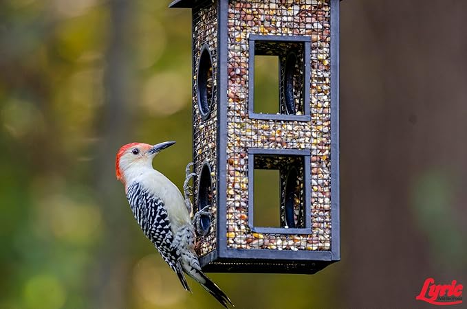 Lyric Woodpecker Wild Bird Seed - No Waste Bird Seed with Nuts, Dried Fruit & Shelled Seeds - 20 lb bag