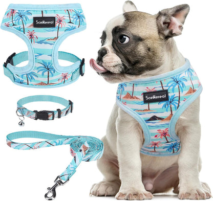 SCENEREAL Small Dog Harness and Leash Collar Set - No Pull Dog Harness for Small & Medium Sized Dogs - Soft Mesh Vest for Puppies, Chihuahua, Yorkie, Spring Summer Hiking Walking, Coconut Tree M