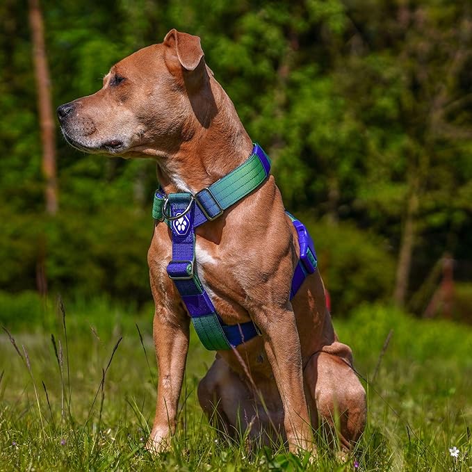 Spark Paws No Pull Dog Harness for Large Dogs, Heavy Duty Dog Harness for Big Strong Breeds, Adjustable, Y Shaped Padded Halter Design with Front Clip - Lime Wave - L