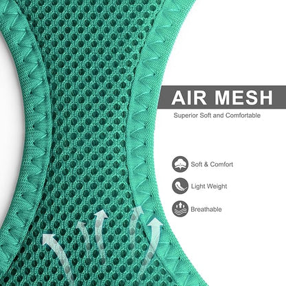 Fida Cat Harness and Leash Set for Walking Kitten and Puppy, Escape Proof Kitten Harness with Breathable Lightweight Soft Mesh, Adjustable Reflective Step-in Design. (XXS, Green)