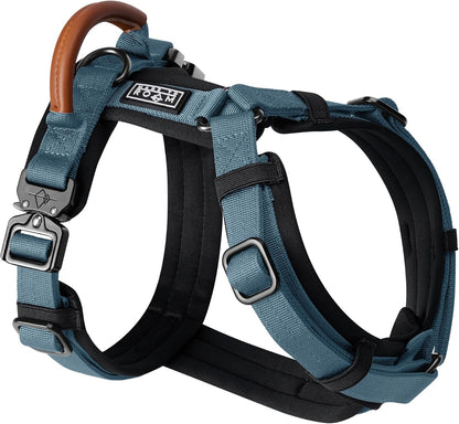 MADE TO ROAM Premium Explorer Harness - Y-Shaped Dog Harness with Adjustable Durable Nylon, Soft Padding, Metal Buckles and Leather Handle for Small, Medium, Large Dogs (California Horizon, Size 2)