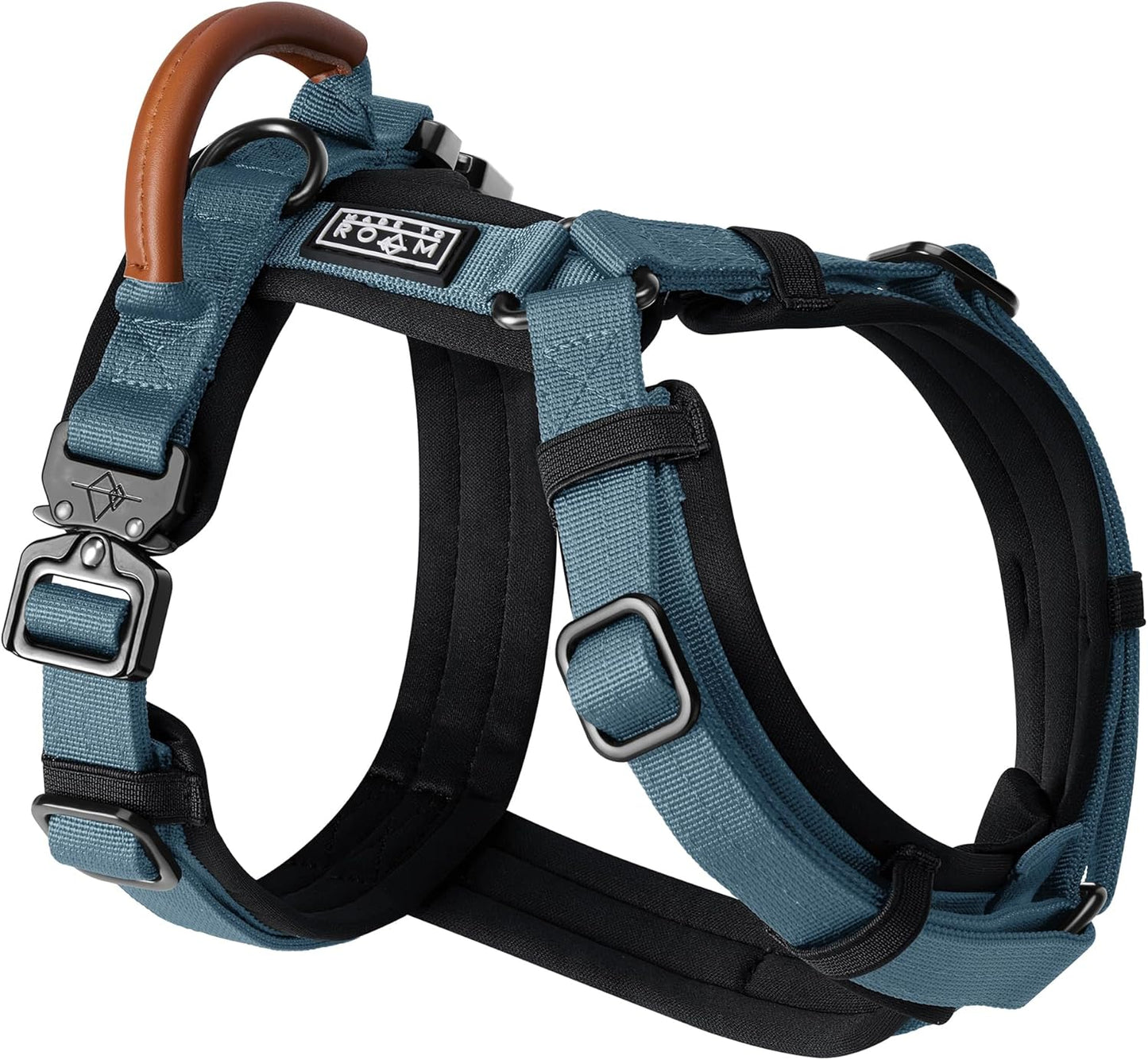 MADE TO ROAM Premium Explorer Harness - Y-Shaped Dog Harness with Adjustable Durable Nylon, Soft Padding, Metal Buckles and Leather Handle for Small, Medium, Large Dogs (California Horizon, Size 6)