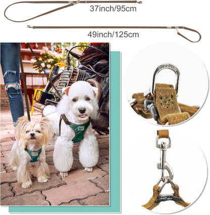 Puppytie No Pull Small Dog Harness with Multifunction Dog Leash,Lightweight Soft Adjustable No Choke Escape Proof Pet Harness Vest Pet Harness Vest,Glossy Dark Green,S