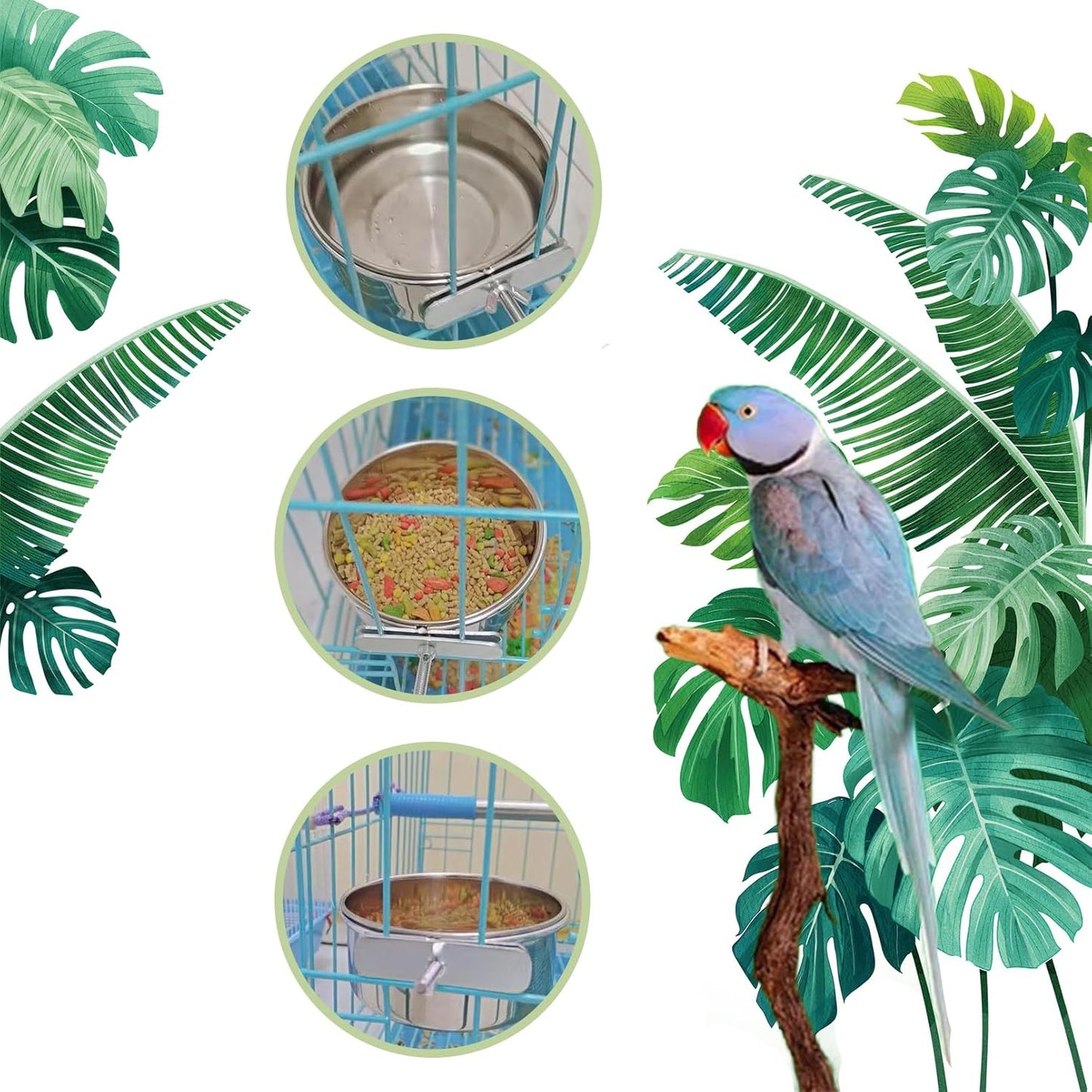 PINVNBY 6 Pieces Stainless Steel Bird Feeding Dish Cups,Parrot Feeder Parakeet Food Water Bowls with Clamp Holder & 6 Pcs Bird Spoon & 6 Pcs Birds Ball Toys for Budgies Macaw Small Animal(S)