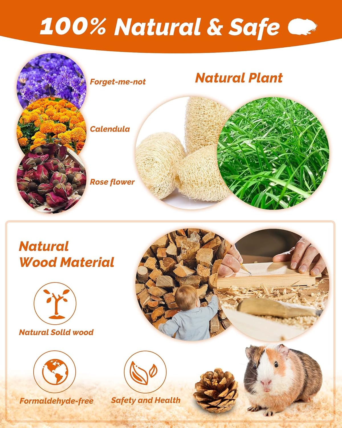 Hamster & Guinea Pig Toys - 18 Pcs Wooden Small Animal Chew Toys for Teeth - Rabbit, Chinchilla, Gerbils, Rats Exercise Accessories