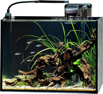 NICREW 2.5 Gallon Nano Nature Aquarium Kit, Ultra-Clear Rimless Desktop Fish Tank with Light and Filter, Perfect for Small Fish, Shrimp, or Betta, Basic Version, Black