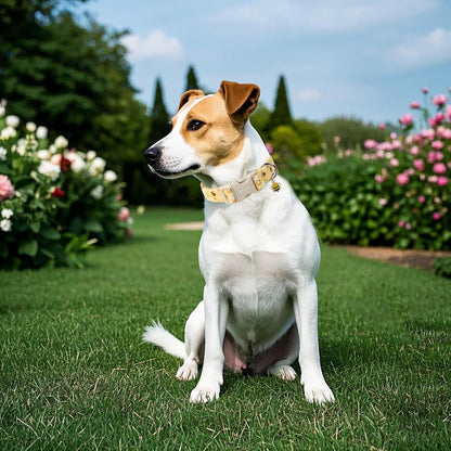 DOGWONG Yellow Bee Dog Collar- Cute Fun Dog Collars Adjustable Designer Spring Puppy Yellowe Dog Collar for Small Medium Large Dogs L