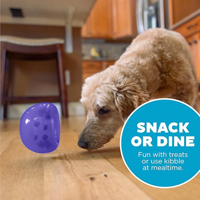 Outward Hound Lil' Snoop Interactive Treat Dispensing Dog Toy, Puzzle Ball Slow Feeder for Small to Medium Dogs, Mint-Scented for Mental Stimulation & Boredom Relief, BPA-Free, 3.9-Inch, Purple
