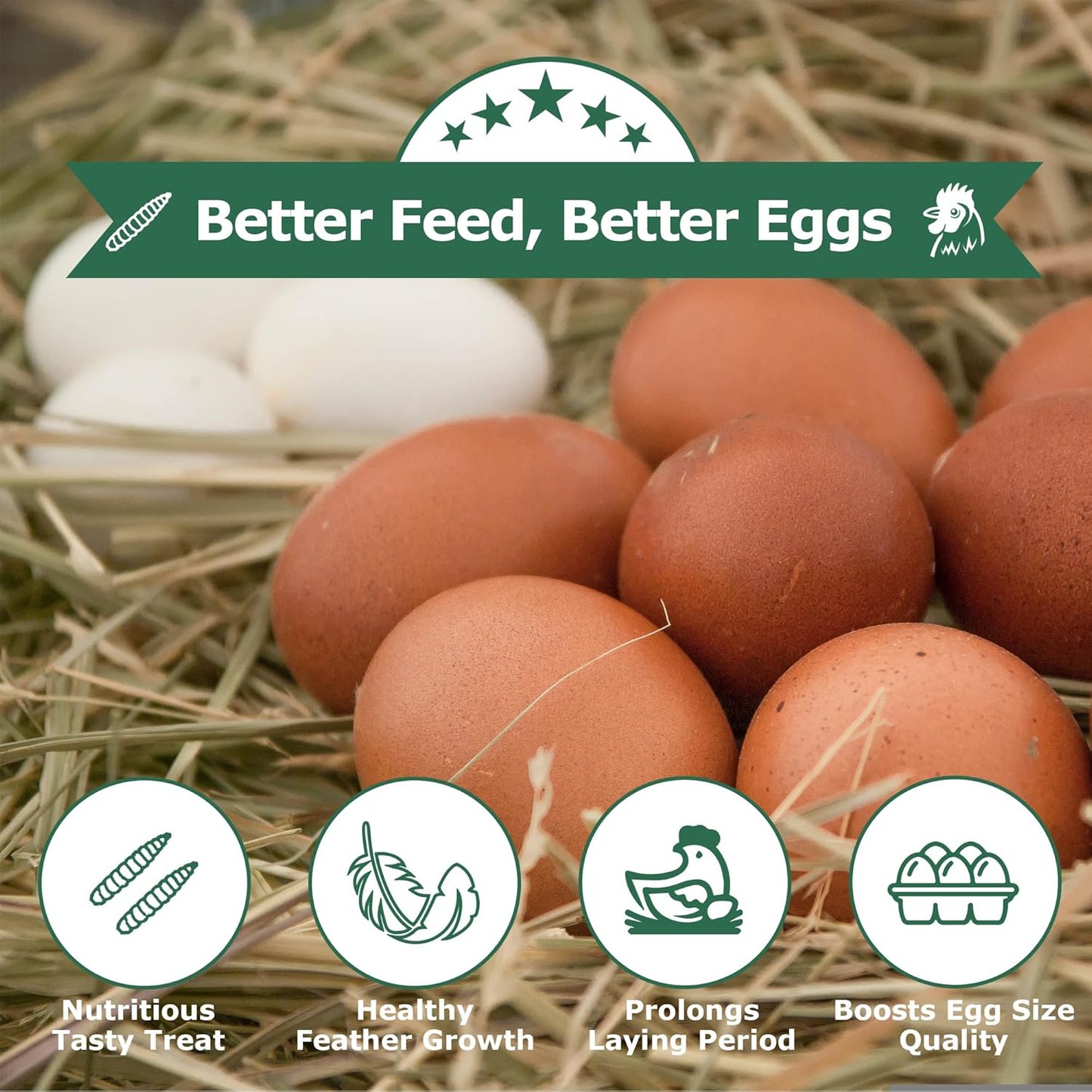 Dried Black Soldier Fly Larvae for Chickens - Non-GMO Poultry Feed Supplement, 85X More Calcium Than Mealworms,High-Protein Treats for Chickens, Hens, Ducks 5LB