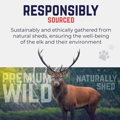 Devil Dog Pet Co. Elk Antlers for Dogs, Petite 3.5"+, 6 Pack, Grade A Long Lasting Chew for Aggressive Chewers, Premium USA Naturally Shed Antler – Healthy, No Odor, Durable Dog Chew