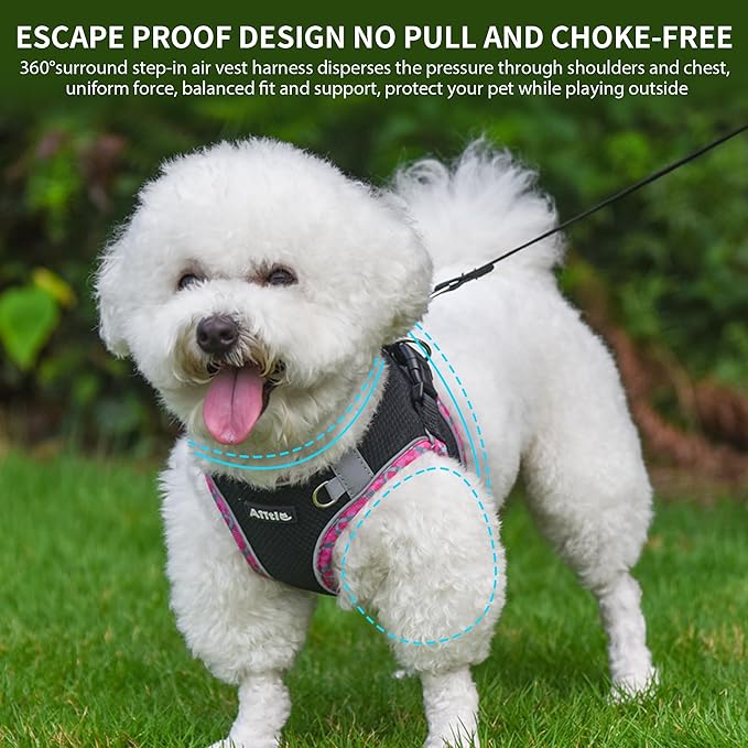 AIITLE Teacup Puppy Harness with Leash - Adjustable Soft Vest with Magic Tape & Reflective Safety Strips, Easy-Put-On for Poodles, Pomeranians - Gym, Hiking, Travel (Black, S)