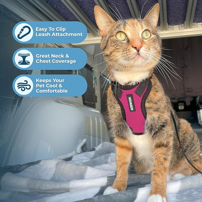 Voyager Step-in Lock Adjustable Cat Harness w. Cat Leash Combo Set with Neoprene Handle 5ft - Supports Small, Medium and Large Breed Cats by Best Pet Supplies - Fuchsia/Black Trim, XXXS