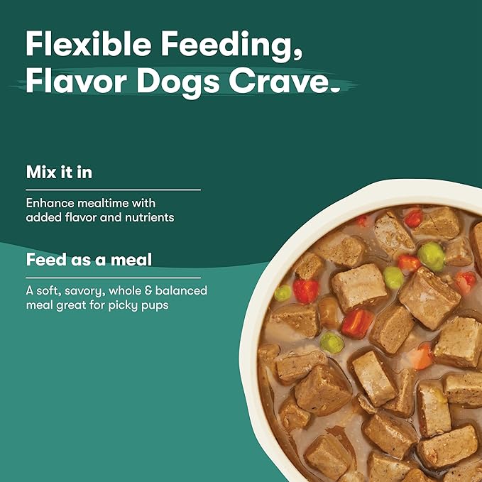 Jinx Bone Broth Stew for Dogs - Chicken & Vegetables Recipe - Grain-Free Wet Dog Food & Topper for Picky Eaters - Promotes Lean Muscle Growth, A Healthy Coat & Improved Digestion - 13 Oz, 12 Pack