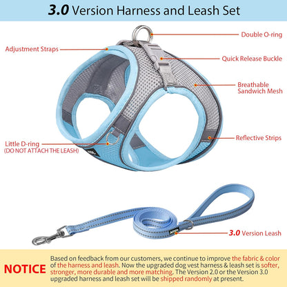 AIITLE Small Dog Harness with Leash, Breathable Mesh Vest, Reflective No-Pull Pet Harness for Outdoor Walking, Camping for Small Dogs, Cats, Blue XXS