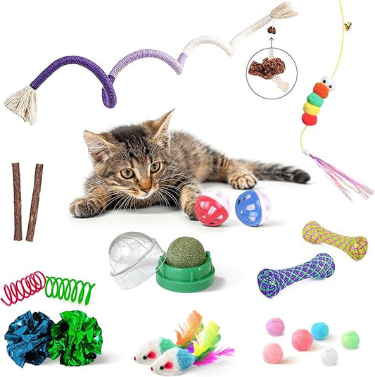 Cat Toys for Indoor Cats, 21 PCS Interactive Toy Set with Springs, Mice, Catnip Ropes, Pompom Balls, Bells, Catnip Ball, and Hanging Toys, Gift Box for Kittens and Adult Cats