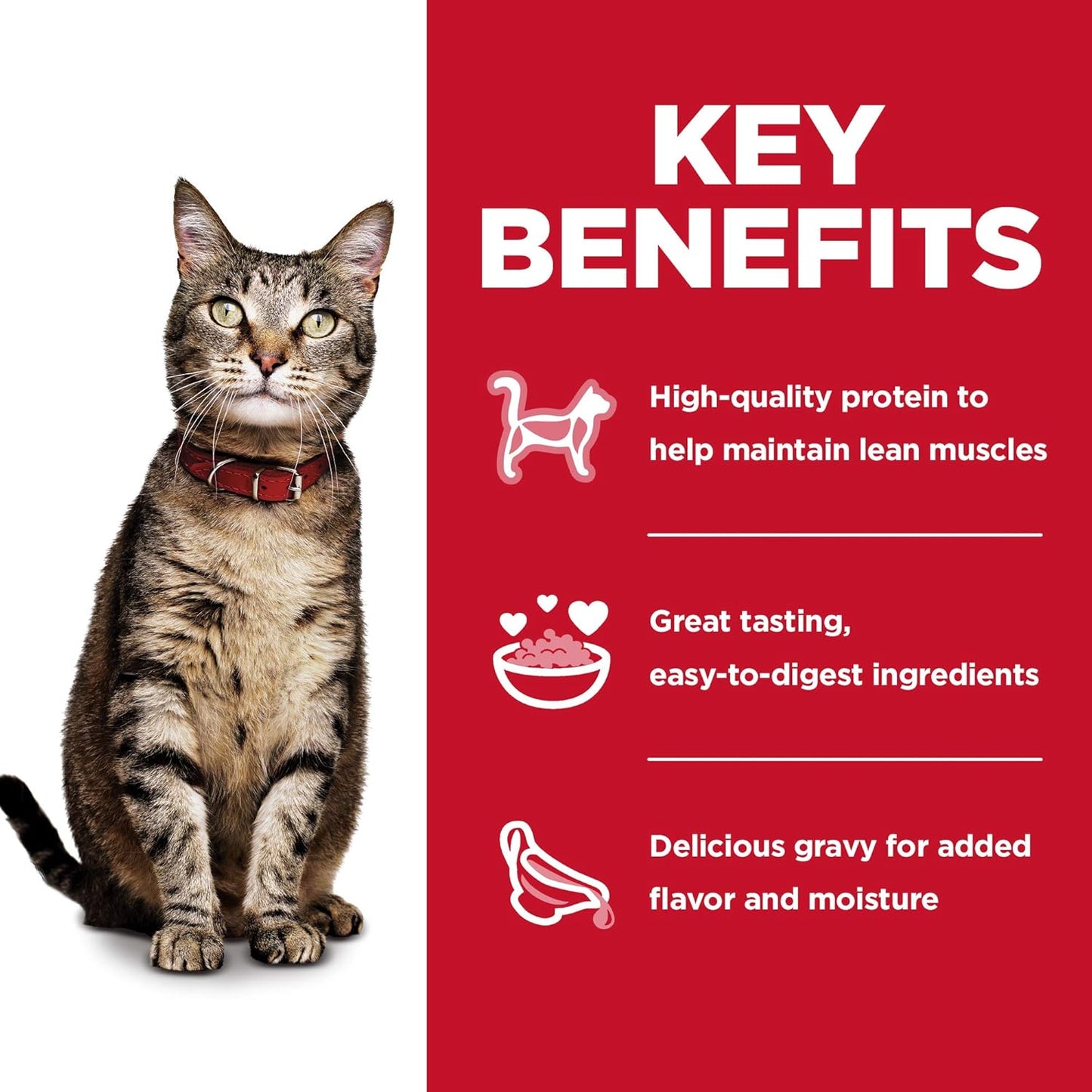 Hill's Science Diet Adult 1-6, Adult 1-6 Premium Nutrition, Wet Cat Food, Variety Pack: Tuna, Chicken, Ocean Fish Stew, 2.8 oz Pouch Variety Pack, Case of 12