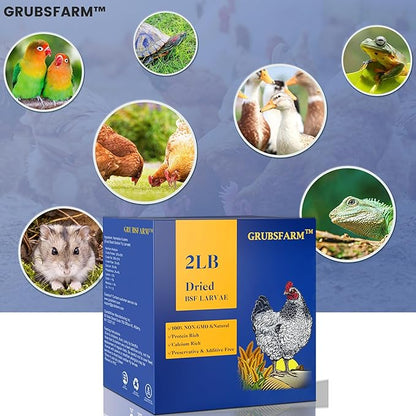 Premium Chicken Treats 2LBS - Superior to Dried Mealworms - Non-GMO & 85X More Calcium Than Meal Worms - Molting & Laying Supplement - BSF Larvae Treats for Layer Hens, Ducks Wild Birds