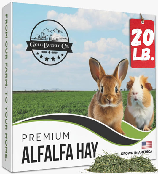 20lb Farm Fresh, USA Grown, Organic Alfalfa Hay for Rabbits, Guinea Pigs, Chinchillas, Goats, Hamsters & Ferrets - Small Animal Food Rich in Protein & Fiber - Just Dried, Hand-Selected