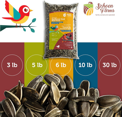 Schoen Farms Striped Sunflower Seeds – Hulled Wild Bird Food – 3 lb Bag – Clean, No-Mess Bird Seed for Finches, Jays & Cardinals