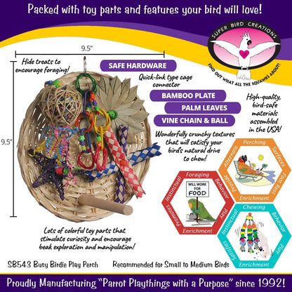 Super Bird Creations SB543 Busy Birdie Play Perch - Foraging Bird Toy, Small & Medium Bird Size - Parakeets, Cockatiels, Small Conures - Interactive Elements - Stimulating Playtime - 9.5" x 9.5" x 6"