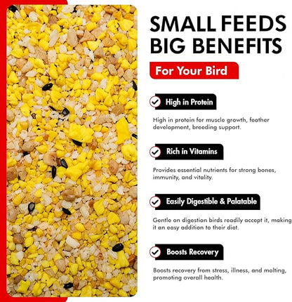 Morning Bird Eggfood 6 lbs (4-Pack, 1.5 lbs Each) – Protein Food with Essential Amino Acids, Vitamins & Minerals – Supports Growth & Feather Health – Ideal Bird Seed for Breeding and All Bird Types