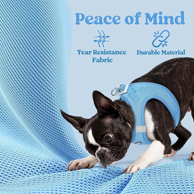 rabbitgoo Small Dog Harness, Step-in Soft Mesh Puppy Vest with Safety Buckle, Breathable Reflective Pet Harness for Small Medium Dogs, Blue L