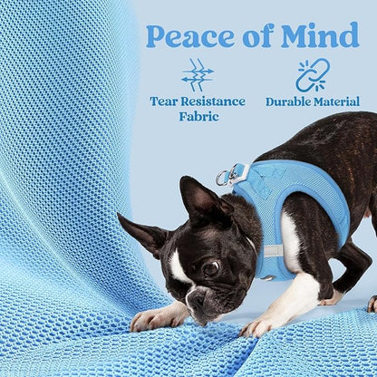 rabbitgoo Small Dog Harness, Step-in Soft Mesh Puppy Vest with Safety Buckle, Breathable Reflective Pet Harness for Extra Small Dogs, Blue XXXS