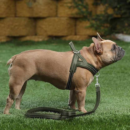 Plutus Pet No Pull Dog Harness with Breathable Mesh Padded, Adjustable Reflective Escape Proof Dog Harness, Quick Fit Dog Vest Harness for Small Medium Large Dogs(XL, Ranger Green)