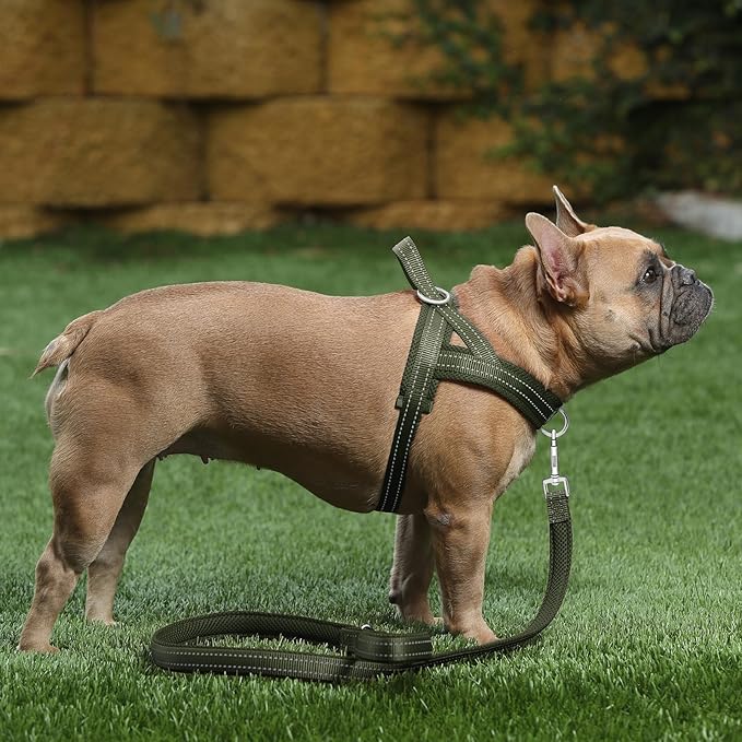 Plutus Pet No Pull Dog Harness with Breathable Mesh Padded, Adjustable Reflective Escape Proof Dog Harness, Quick Fit Dog Vest Harness for Small Medium Large Dogs(XXS, Ranger Green)