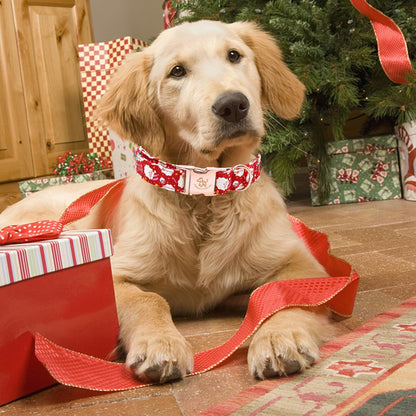 Elegant little tail Christmas Dog Collar, Red Santa Claus Print Pet Collar Dog Durable Cute Dog Collars Winter Holiday Male or Female Pet Gift Adjustable Dog Collar for X-Large Dogs