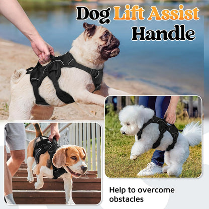 rabbitgoo Escape Proof Dog Harness, Soft Padded Full Body Pet Harness, Reflective Adjustable No Pull Vest with Lift Handle and Leash Clip for Large Dogs Walking Hiking Training, S, Black