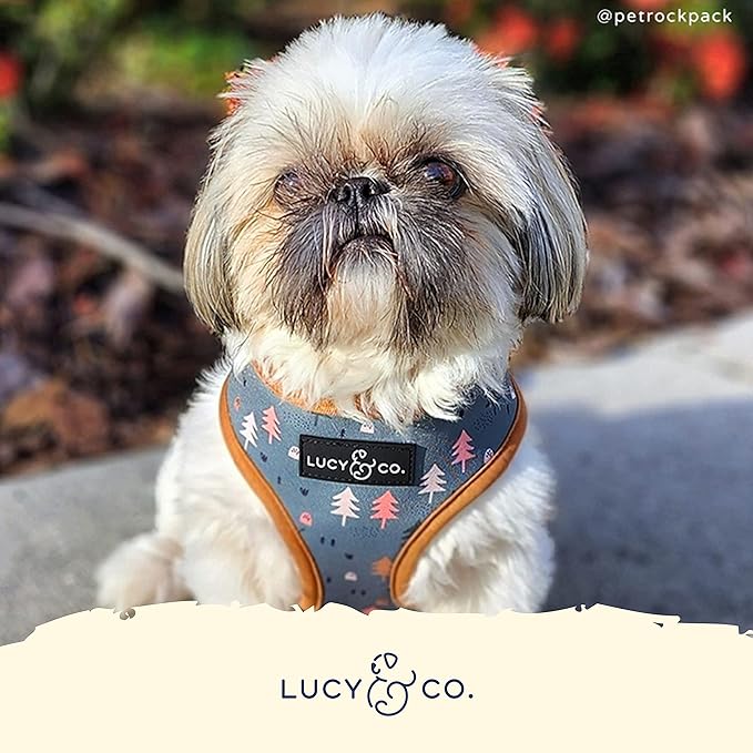 Lucy & Co. Cute Reversible Dog Harness Walking Halter - Best Designer Pet Harnesses for XS - XL Dogs - Padded Adjustable Vest for Easy Walking (X-Small, Neutral Brown Plaid with Blue Trees)
