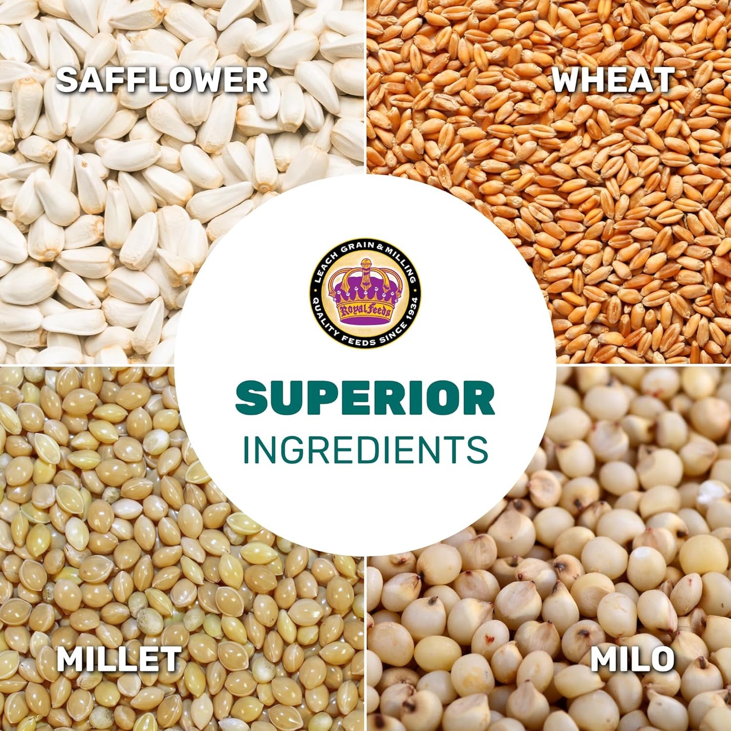 Dove Mix 5 Lbs, Dove Food, Premium Dove Bird Seed, Nut Free Mix Feed for Dove, Nutrient-Rich Mixed Birdseeds, Supports Daily Energy Growth & Healthy Balanced Diet, Bird Seed for Outside Feeders